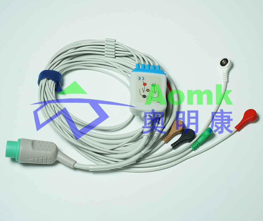 ECG lead 3.5M (Baolaite big head green round head 12 pin integrated five lead buckle American standard -) AE040I3SI