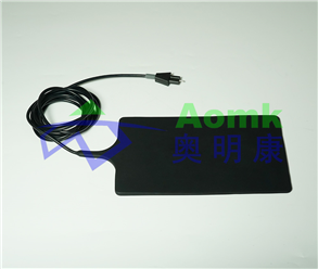 Negative electrode plate